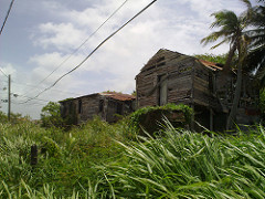 Dangriga