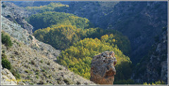 Cañon del Rio Val. Agreda.