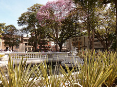 Parque Bolívar - Ibagué