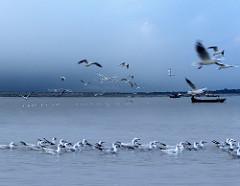 Triveni Sangam, Allahabad,Uttar Pradesh,India