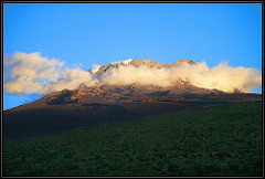 kilimanjaro from the shira plateau