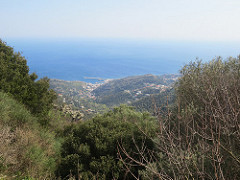 Ikaria  62