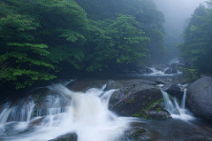 Kusugawa trailhead, Yakushima Island