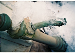 Frenzy water hose in the winter