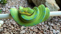 Fresh Shed