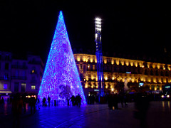 Montpellier cone