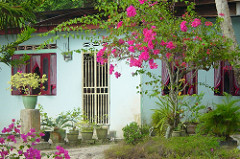 Pangkor Residence