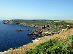 Cribba Head