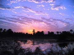 Sunset