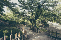 Asahiyama park