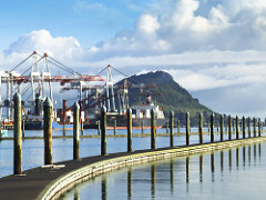 Port of Tauranga