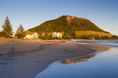 Tauranga Waterside