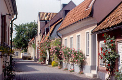 Visby - Street with Roses