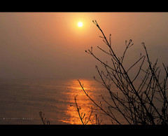 [80/366] And the sun rises..