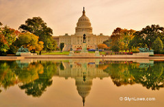 The U.S. Capitol Building - Washington DC