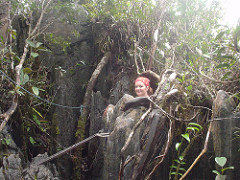 Pinnacles