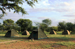 Seronera Camp in Serengeti