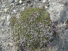 Kangerlussuaq
