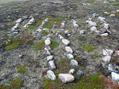 Beluga Hunting Game