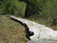 Ahousaht Wild Side Heritage Trail, Flores Island, Clayoquot Sound, BC