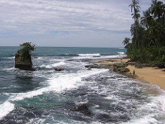 Manzanillo
