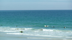 Surfy surfy! Shirahama beach, Japan