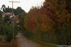 Campos do Jordão