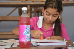 Estudar com Jesus é muito melhor