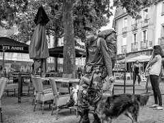 Man and dog