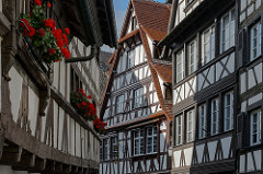 Strasbourg lines