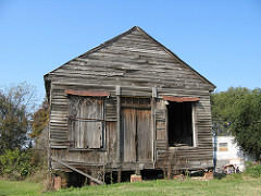 The Delta