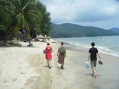 Tropical beach