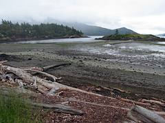 Low tide, Eastsound