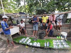 Fish Market