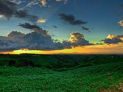 Bukidnon Philippines Bukidnon Philippines