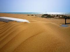 Dunes