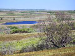 Landscape near Ekuk
