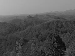 A view