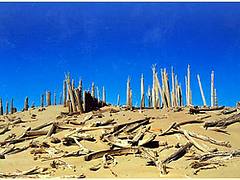Around China:  Xinjiang, Korla, stone forest