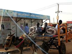 Peering into each other (Donkey transport in Khartoum, Sudan) Peering into each other (Donkey transport in Khartoum, Sudan)