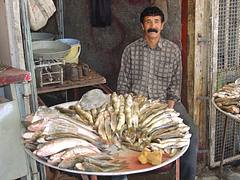 6471. Fish Seller