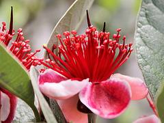 IMG_6556 (2)