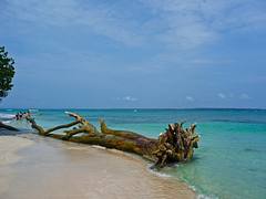 Isla Zapatilla