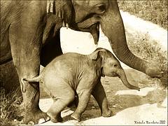 Mother and child Mother and child