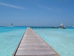 Maldives Maldives