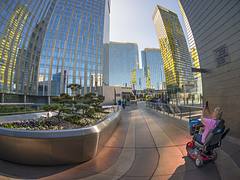 Wheelchair Photographer, CityCenter, Las Vegas