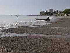 trashed beaches of Libreville