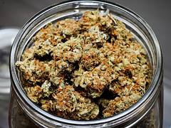 Private Reserve Lamb's Bread, Sativa