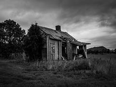 DSCF0578.jpg