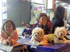 Loei childen with dogs